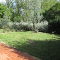 Отель Fattoria La Steccaia Монтескудаио фото 4