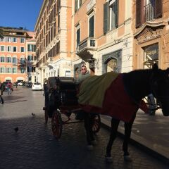 Отель iH Hotels Piazza di Spagna View - Luxury Guest House Италия, Рим - отзывы, цены и фото номеров - забронировать отель iH Hotels Piazza di Spagna View - Luxury Guest House онлайн спортивное сооружение