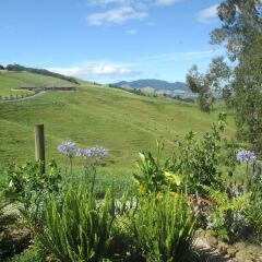 Отель Kauri Lodge Farmstay фото 5