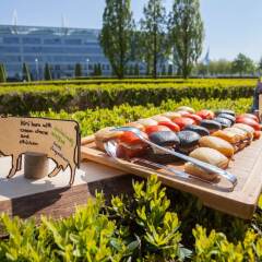 Hilton Munich Airport Hotel (ex. Kempinski Airport München) Мюнхен бассейн фото 3