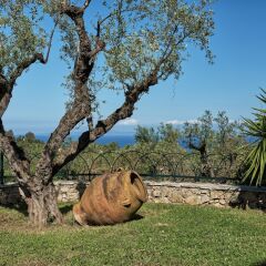 Отель Villa Almeira Zakynthos Греция, Закинф - отзывы, цены и фото номеров - забронировать отель Villa Almeira Zakynthos онлайн фото 5