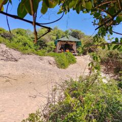 Отель Back of Beyond Dune Camp - Yala пляж
