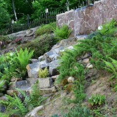 Отель Sant Georg Garni Чехия, Марианске-Лазне - отзывы, цены и фото номеров - забронировать отель Sant Georg Garni онлайн фото 7