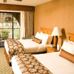 Отель Borrego Springs Resort and Spa комната для гостей фото 2
