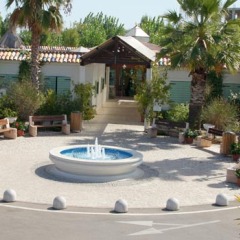 Hotel Le Mimose фото 5