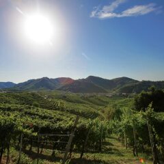 Отель Agriturismo Due Carpini Вальдоббьадене фото 3