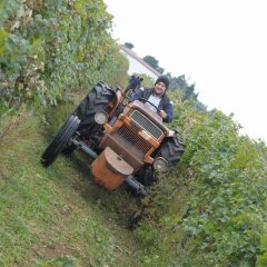 Отель Agriturismo Sol De Montalto Риволи-Веронезе приотельная территория