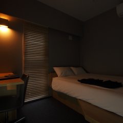 Amanek Ginza East in Tokyo, Japan from 142$, photos, reviews - zenhotels.com guestroom photo 3