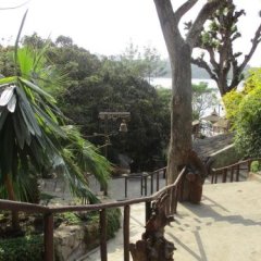 Liesak Resort in Debre Zeyit, Ethiopia from 207$, photos, reviews - zenhotels.com balcony