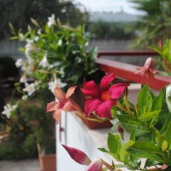 Отель B&B AnnaVì Бари фото 4