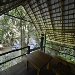 Отель Ella Jungle Resort Шри-Ланка, Бандаравела - отзывы, цены и фото номеров - забронировать отель Ella Jungle Resort онлайн балкон