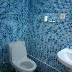 Гостиница Alpic Guest House фото 11
