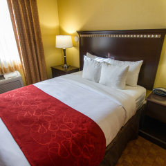 Comfort Suites Phoenix Airport in Tempe, United States of America from 139$, photos, reviews - zenhotels.com guestroom