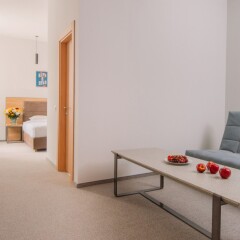Гостиница Custos Hotel Lubyansky в Москве 3 отзыва об отеле, цены и фото номеров - забронировать гостиницу Custos Hotel Lubyansky онлайн Москва комната для гостей фото 2