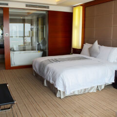 Grand Skylight International Hotel Shenzhen Guanlan Avenue комната для гостей фото 4