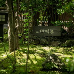 Отель Kurokawa Onsen Oyado Noshiyu Япония, Минамиогуни - отзывы, цены и фото номеров - забронировать отель Kurokawa Onsen Oyado Noshiyu онлайн фото 7