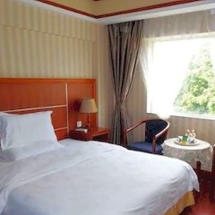 China's Emerging Business Hotel комната для гостей фото 4