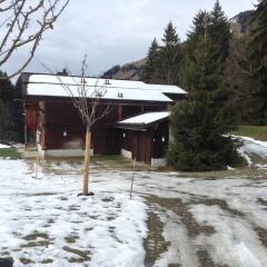 Отель Gstaad - Great Luxurious Farmhouse фото 2