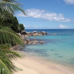 BLISS Seaside in Mahe Island, Seychelles from 448$, photos, reviews - zenhotels.com beach photo 3