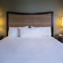 Отель Fremont Hotel & Casino США, Лас-Вегас - отзывы, цены и фото номеров - забронировать отель Fremont Hotel & Casino онлайн с домашними животными