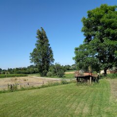 Отель B&b Alla Rotonda Vicenza Италия, Виченца - отзывы, цены и фото номеров - забронировать отель B&b Alla Rotonda Vicenza онлайн фото 7