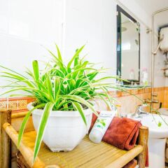 Отель Homestay in Centre Hanoi Hoan Kiem балкон
