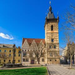 Отель Hostel Daniela Чехия, Прага - отзывы, цены и фото номеров - забронировать отель Hostel Daniela онлайн фото 5