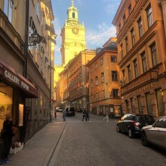 Отель Lady Hamilton Hotel Швеция, Стокгольм - 3 отзыва об отеле, цены и фото номеров - забронировать отель Lady Hamilton Hotel онлайн фото 8