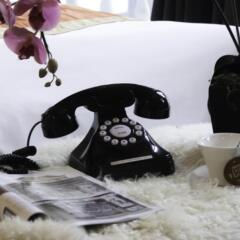 Hotel NuVe Heritage с домашними животными