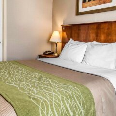 Отель Comfort Inn At LaGuardia Airport США, Нью-Йорк - отзывы, цены и фото номеров - забронировать отель Comfort Inn At LaGuardia Airport онлайн комната для гостей фото 4