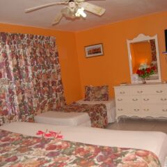 Отель PinkHibiscus Guest House в номере фото 2