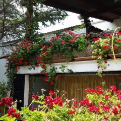 Отель In the garden B&B Лечче фото 6