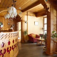 Отель Edelweiss Manotel Hotel Швейцария, Женева - 2 отзыва об отеле, цены и фото номеров - забронировать отель Edelweiss Manotel Hotel онлайн гостиничный бар