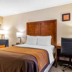 Comfort Inn Santa Monica West Los Angeles In Santa Monica United States Of America From 224 Photos Reviews Zenhotels Com