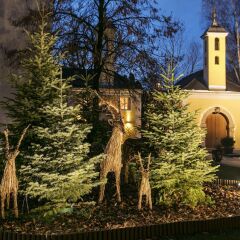 Отель Arcotel Castellani Зальцбург фото 4