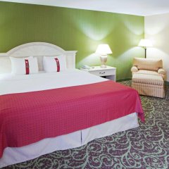 Отель Holiday Inn Chantilly-Dulles Expo Center, an IHG Hotel США, Чантилли - отзывы, цены и фото номеров - забронировать отель Holiday Inn Chantilly-Dulles Expo Center, an IHG Hotel онлайн комната для гостей фото 4