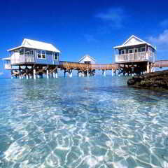 9 Beaches in Somerset Village, Bermuda from 666$, photos, reviews - zenhotels.com photo 4