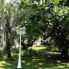 Отель Lapu Lapu Cottages and Restaurant Филиппины, Лапу-Лапу - отзывы, цены и фото номеров - забронировать отель Lapu Lapu Cottages and Restaurant онлайн фото 11