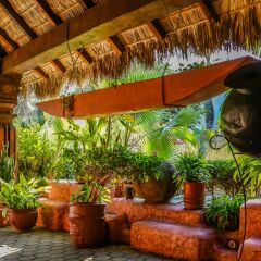 Отель Tropicana Inn Мексика, Сан-Хосе-дель-Кабо - отзывы, цены и фото номеров - забронировать отель Tropicana Inn онлайн фото 10