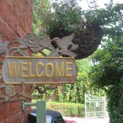 Отель B&B Les Taillis Бельгия, Брюссель - отзывы, цены и фото номеров - забронировать отель B&B Les Taillis онлайн