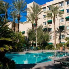 Отель Silver Sevens Hotel & Casino США, Лас-Вегас - отзывы, цены и фото номеров - забронировать отель Silver Sevens Hotel & Casino онлайн бассейн