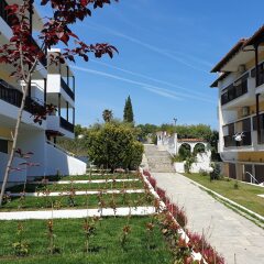 Отель Ioli Village Греция, Пефкохори - отзывы, цены и фото номеров - забронировать отель Ioli Village онлайн фото 14