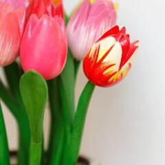 Отель Beautiful Belsize Park Gardens питание