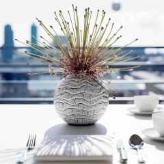 Отель The Mandala Suites Германия, Берлин - отзывы, цены и фото номеров - забронировать отель The Mandala Suites онлайн фитнесс-зал фото 2