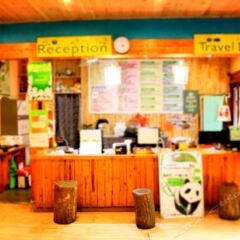 Hello Chengdu International Youth Hostel с домашними животными