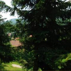 Отель Lillafüred Kapuja Hotel Венгрия, Силвашварад - отзывы, цены и фото номеров - забронировать отель Lillafüred Kapuja Hotel онлайн фото 3