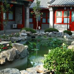 Отель Soluxe Courtyard фото 8