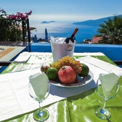 Villa Nar Турция, Патара - отзывы, цены и фото номеров - забронировать отель Villa Nar онлайн питание
