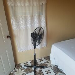 Отель The Cozy Family Inn Guesthouse Ямайка, Порт Антонио - отзывы, цены и фото номеров - забронировать отель The Cozy Family Inn Guesthouse онлайн с домашними животными