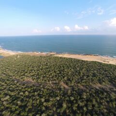 Отель Wild Coast Tented Lodge - All Inclusive Шри-Ланка, Тиссамахарама - отзывы, цены и фото номеров - забронировать отель Wild Coast Tented Lodge - All Inclusive онлайн пляж